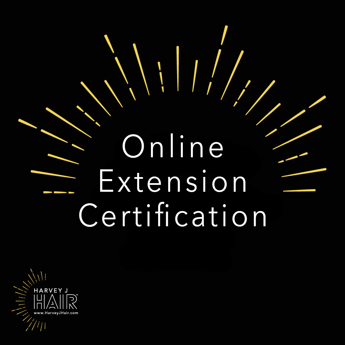 Online Beaded Row Hair Extension Certification Harvey J Hair Online Beaded Row Hair Extension Certification Harvey J Hair