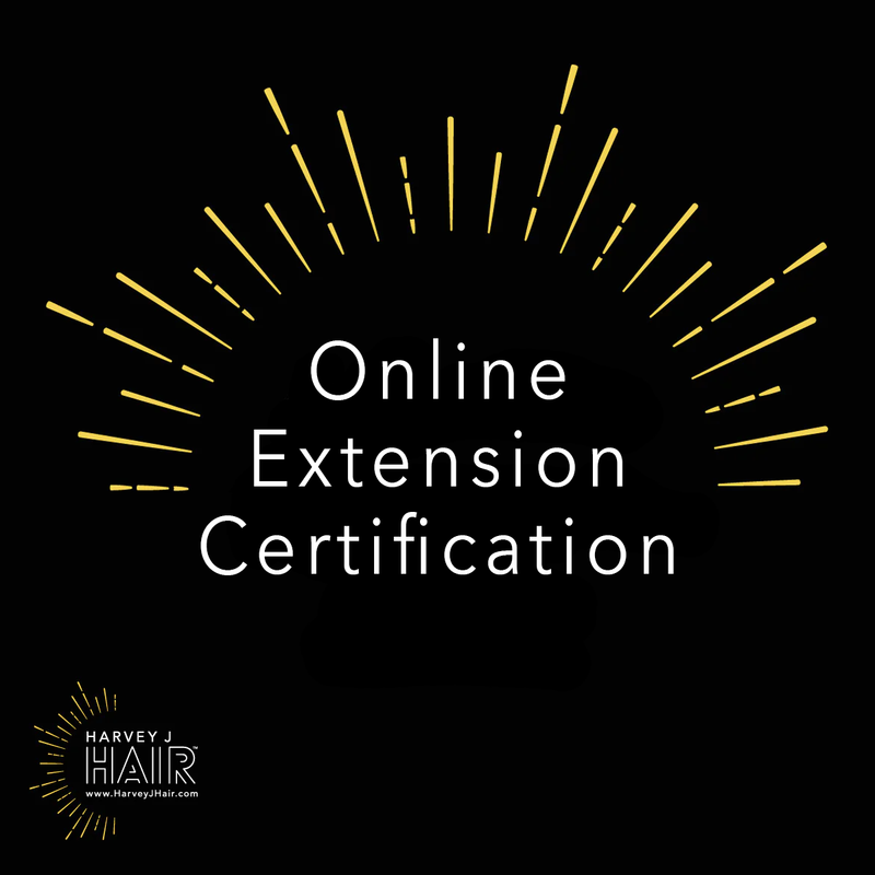 Online Beaded Row Hair Extension Certification